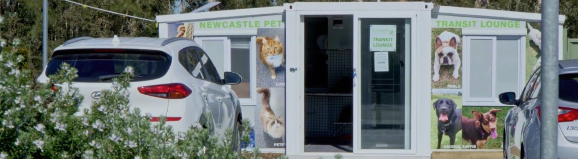 Image of Hunter Pet Motel Transit Lounge